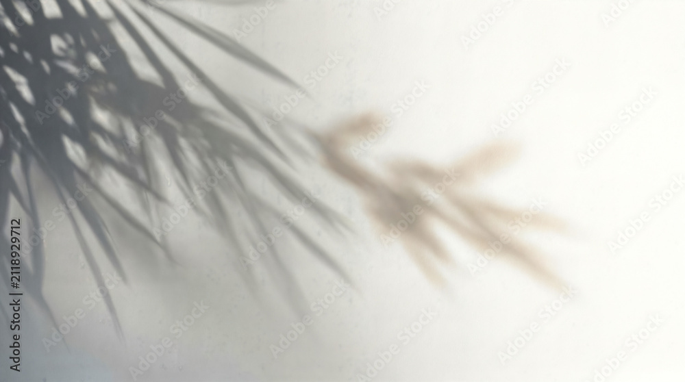 Obraz premium Minimalist palm leaf shadow on white wall, soft sunlight botanical background, neutral beige blur texture for design