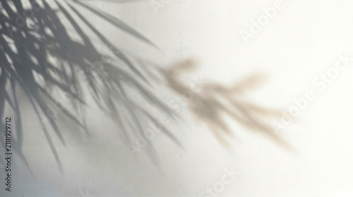 Minimalist palm leaf shadow on white wall, soft sunlight botanical background, neutral beige blur texture for design