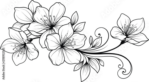 Flower vector silhouette branch blossom ornate
