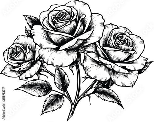 Rose vector illustration, monochrome floral bouquet