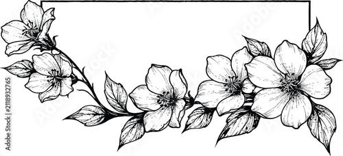 Flower vector illustration, ornate floral border frame