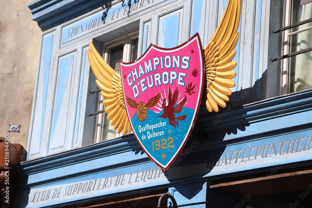 Fototapeta premium Quidditch Champions poster in The Wizarding World of Harry Potter