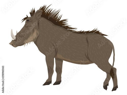 Konstfotografi Common warthog Phacochoerus africanus standing side profile view vector