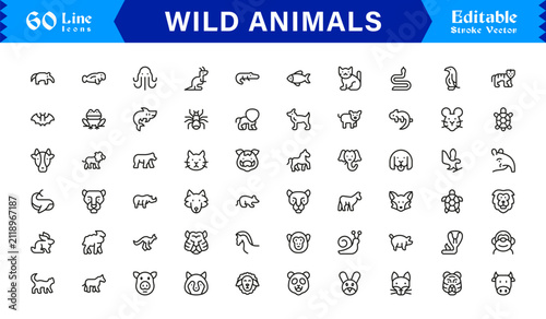 Photography Wild Animals Professional Line Icon Set – Modern Minimal Editable Vector Icons C
