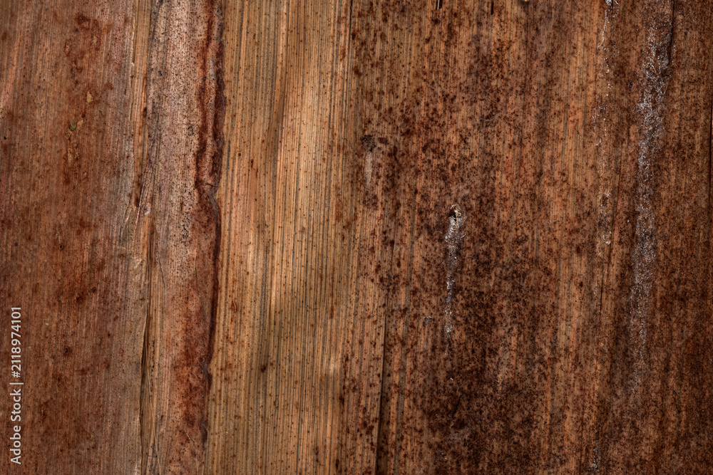 Fototapeta premium Natural Banana Bark Textures