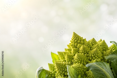 Fresh romanesco broccoli vegetable head