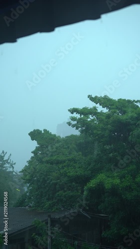 Big Tree and Cabin House in Heavy Rain Viewed from Under Roof Overhang