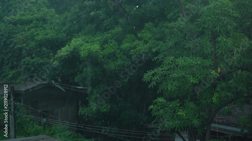 Cozy Wooden Cabin in the Forest Surrounded by Trees During Heavy Rain
