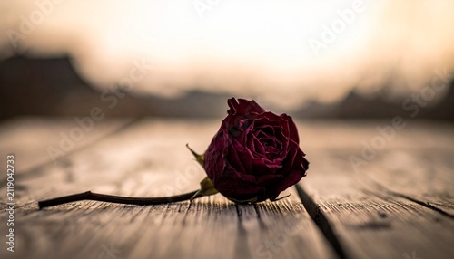 Wilted Burgundy Rose on Weathered Wood, Dramatic Lighting