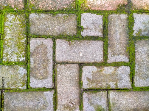 Mossy Paving Stone Surface with Rustic Weathered Outdoor Texture