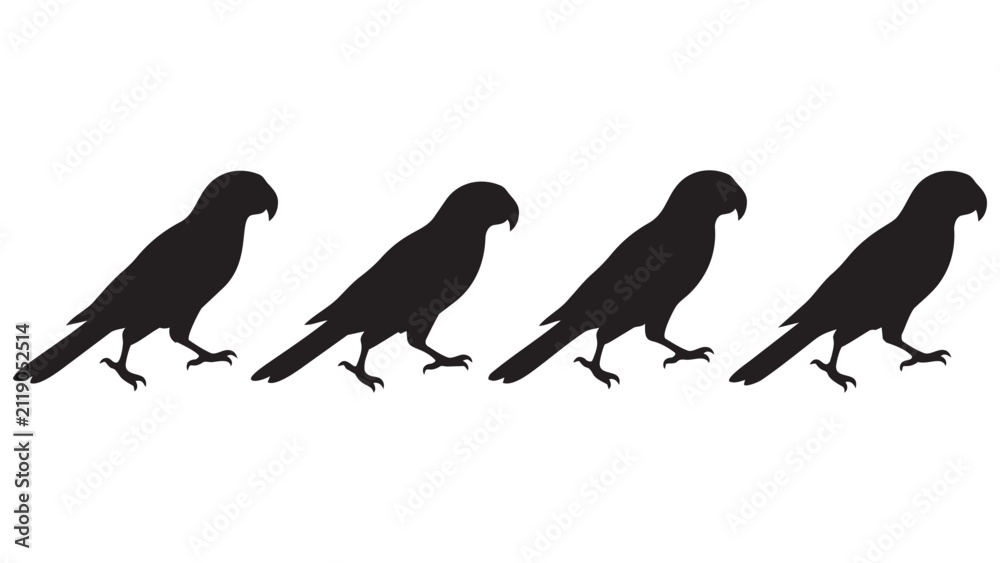 Fototapeta premium Black Silhouette Eagle Birds Flying Sequence Animation Vector Illustration for Design Projects and Branding