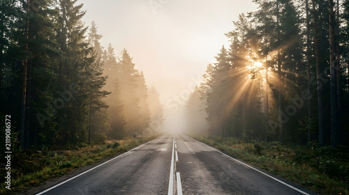 Road stretches through a dense coniferous forest while sunlight pierces through the morning mist.