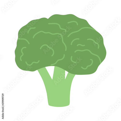 Broccoli, vector vegetable illustration, isolated object for design. Flat style. Healthy eating, diet.