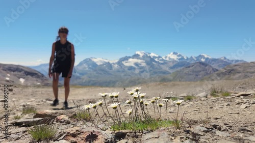 Close-up of wildflowers with blurred woman walking in mountain landscape