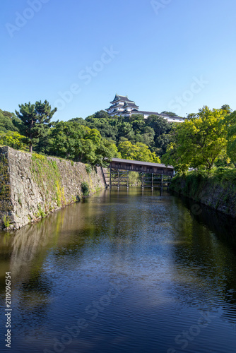 御堀から見る和歌山城の天守閣