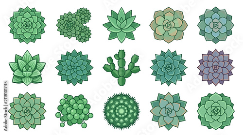 Green succulent and cactus plant icon collection.