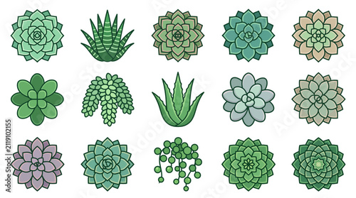 Succulent and cactus botanical garden plant icons.