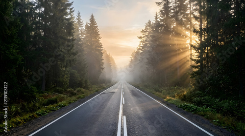 Asphalt road stretches through a misty pine forest during a golden sunrise.