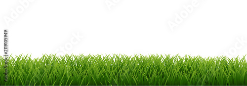 green grass background