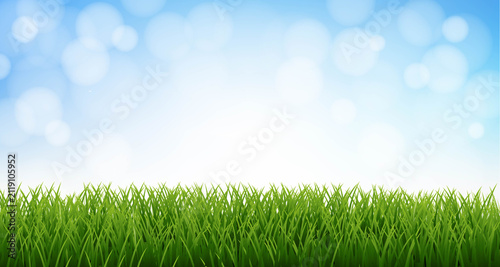 Green Grass And Blue Background With Bokeh