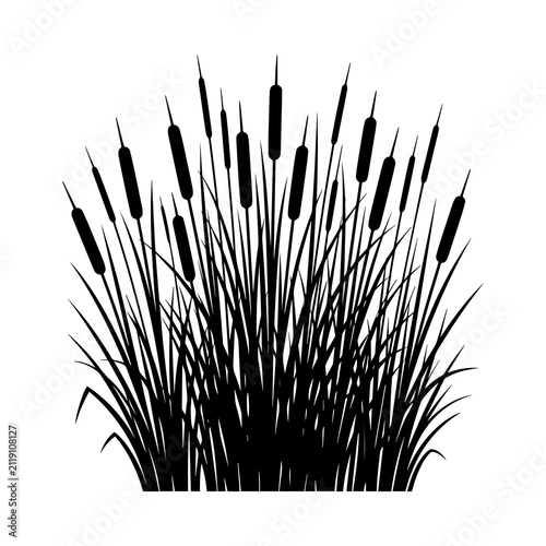 фотографія A dense cluster of cattail plants and tall grass rendered in a black silhouette,