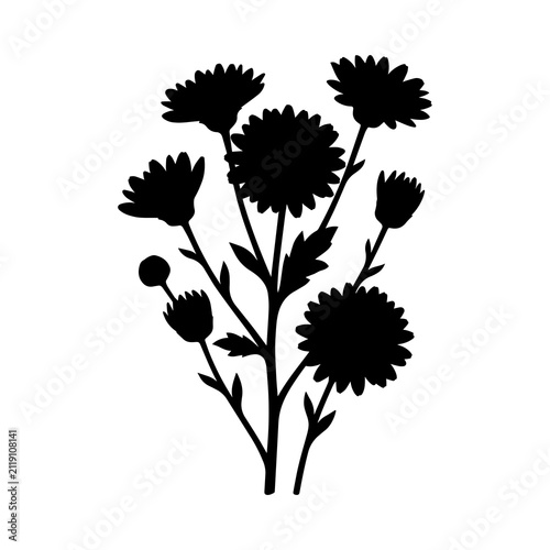 Black silhouette of a bouquet of chrysanthemum flowers with leaves and buds, isolated on a white background, botanical