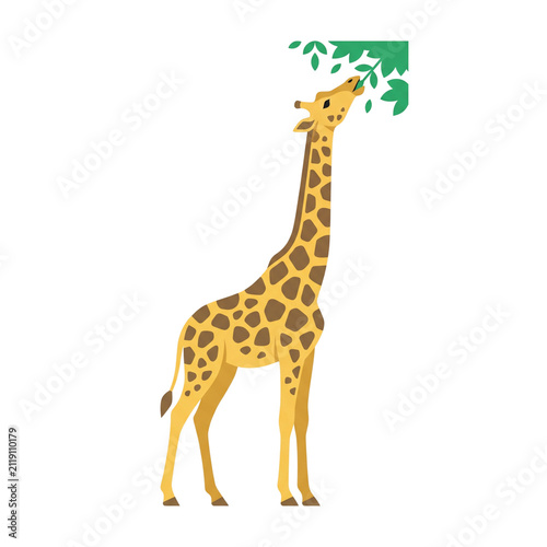 Stylized illustration of a giraffe reaching for green leaves, isolated on white.