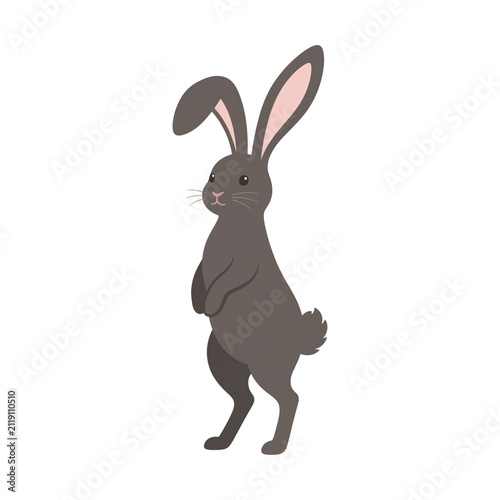 Cute Gray Rabbit Standing Upright, Isolated on White