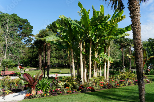 Moorish park Arcachon tropical garden banana trees