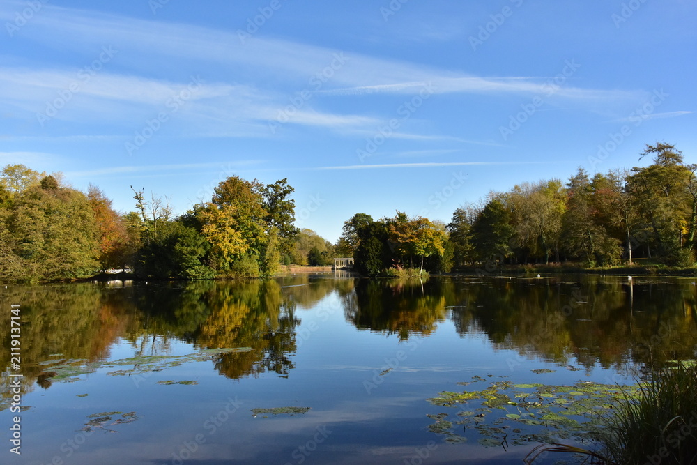 Fototapeta premium Autumn