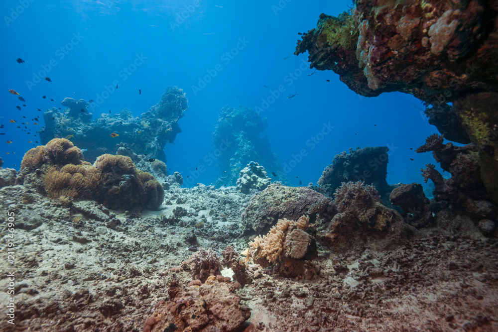 Fototapeta premium Beautiful tropical coral reef landscape with pinnacles in blue ocean water