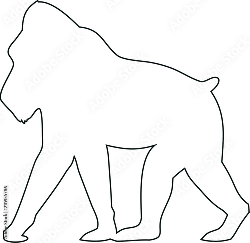 Fotografie Drill Monkey outline vector icon
