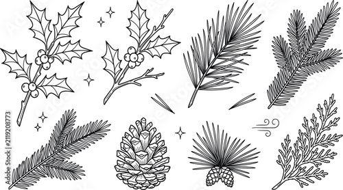Canvastavla Christmas winter plants line art vector set with holly berry pine cone evergreen