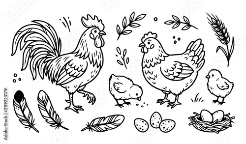Farm poultry line art set, hand drawn rooster, hen, chicks, eggs, and feathers vector illustration collection