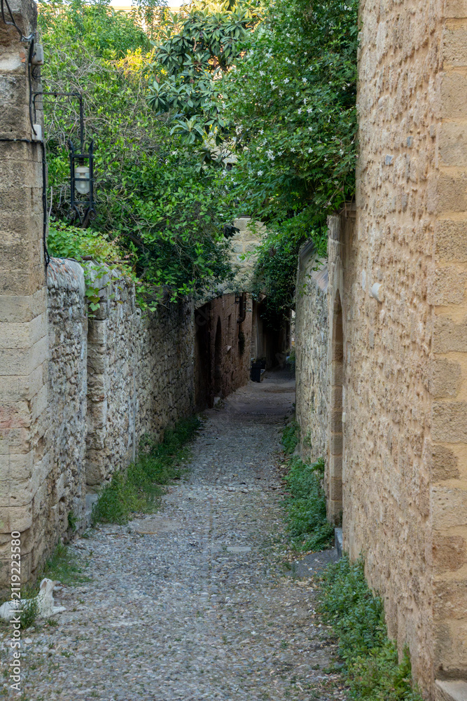 Obraz premium Narrow stone path between old buildings with greenery in an urban setting during daylight hours