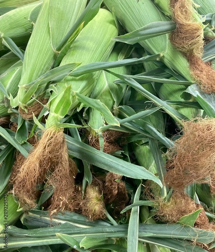 stacked ears of sweet corn at the market