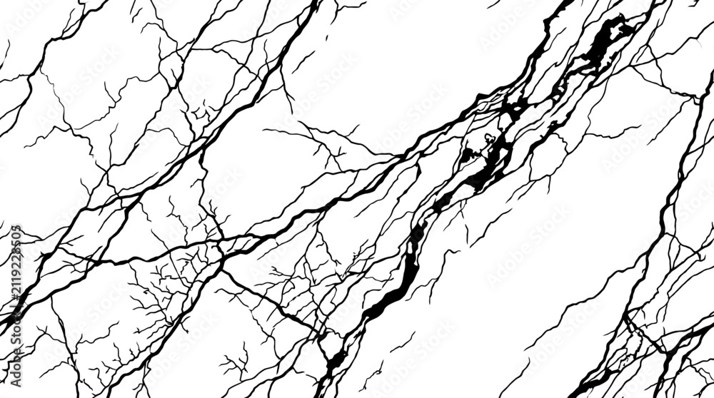 Obraz premium Abstract Black Marble Veins Pattern on White Background