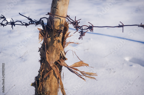 Wooden fence with barbed wire