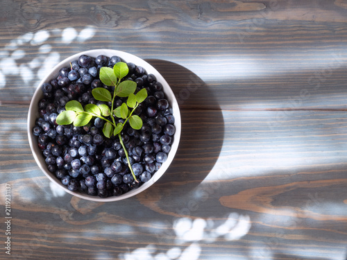 Freshly picked blueberries