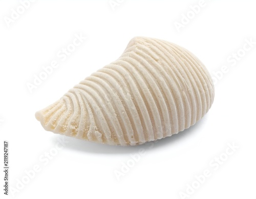 Single uncooked conchiglie pasta shell isolated on a plain white studio background