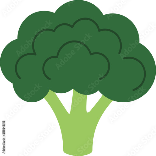 Obraz na plátne Fresh green broccoli floret illustration on a white background