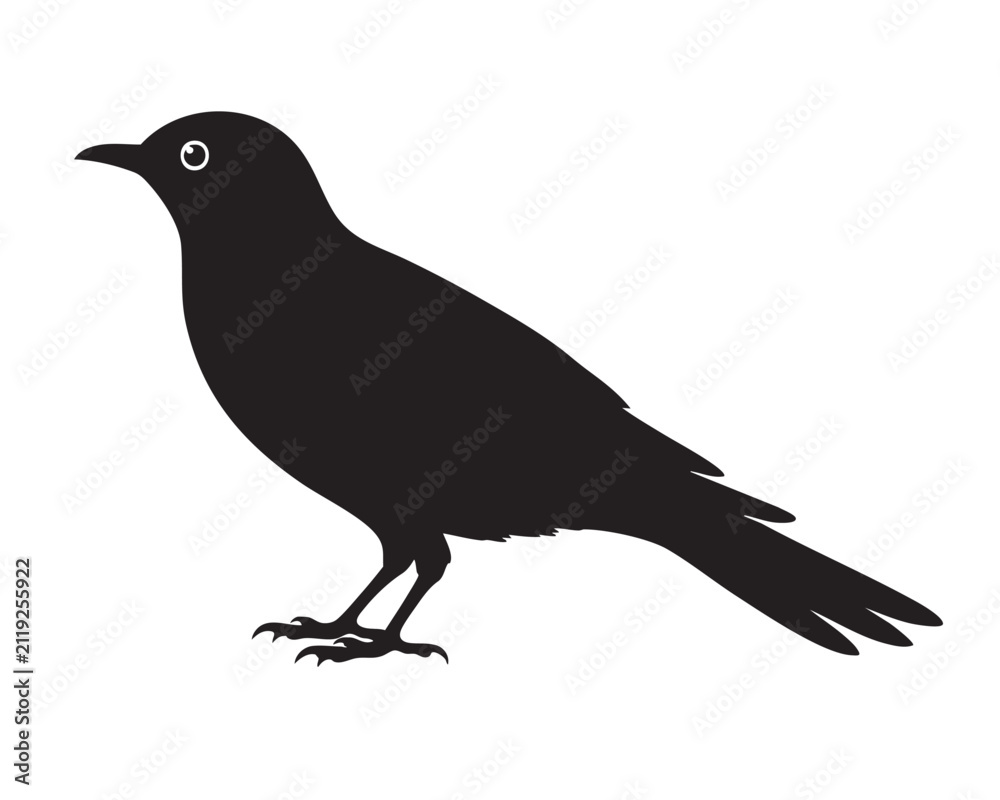 Fototapeta premium Blackbird Side View Silhouette Black Vector Illustration