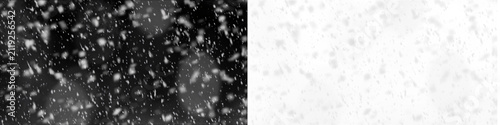 Принти на полотні Snow storm overlay isolated on black background falling particles texture transparent effect graphic element realistic winter holiday weather blizzard motion art