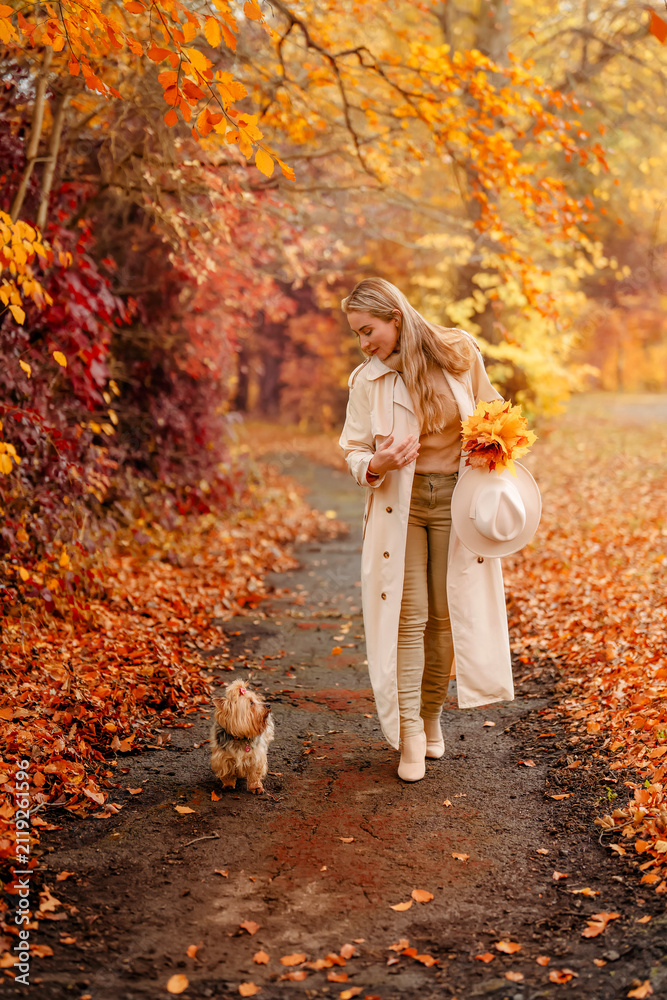 Fototapeta premium Woman walks a small dog on a path covered in autumn leaves while holding a bouquet of flowers in a park during fall