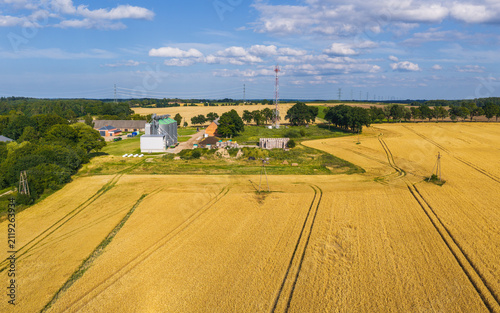 Aerial view of Kashubia featuring golden wheat fields, a farm complex with silos, a communication tower, and trees under a blue sky in Kashubia region, Pomeranian Voivodeship, Poland.