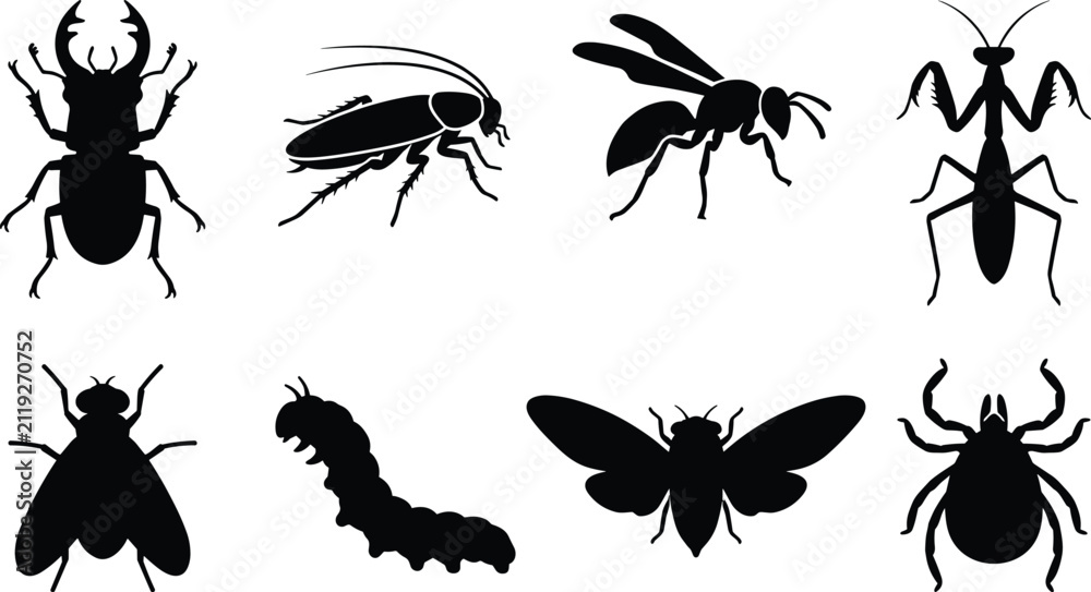 Obraz premium Set of Black Insect Silhouette Icons Including Beetle Cockroach Wasp Mantis Fly Caterpillar Cicada and Tick for Nature Design