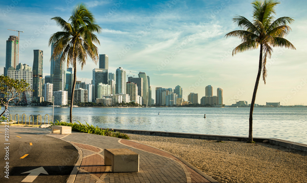 Obraz premium Miami Brickell Skyline and Palm Trees Along Biscayne Bay Waterfront