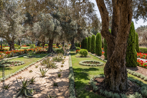 A walking path lined with trees flowers and a bushes in Bahai Gardens near Acre city in northern Israel.