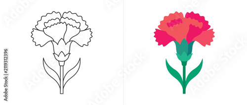 Set of Carnation Flower Outline and Colored Vector Illustration