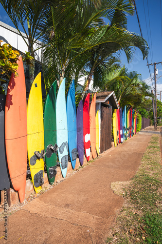 Colorful Surfboard Fence Lining a Tropical Street Beside Palm Trees and Blue Sky, Paia, Maui, Hawaii, USA